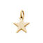 View Larger Image of Star Charm