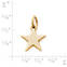 View Larger Image of Star Charm