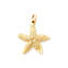 View Larger Image of Cape Starfish Charm