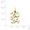 View Larger Image of Year "2024" Charm