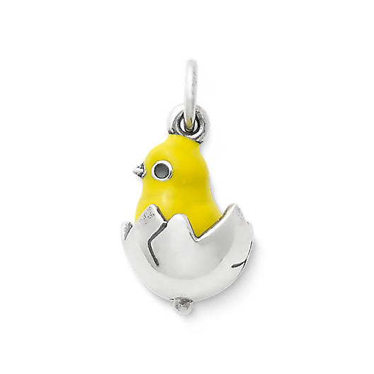 View Larger Image of Enamel Chicks Rule Charm