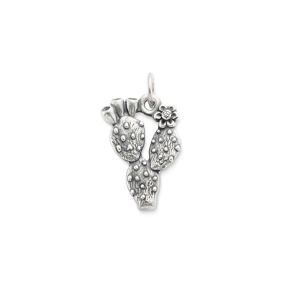 925 Sterling Silver Pear Cactus Charm Made in USA 