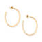 View Larger Image of Oval Hoops