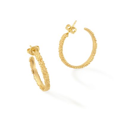 Delicate Margarita Ear Posts - James Avery