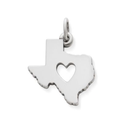 Armadillo 14K Gold Charm, Texas Charms