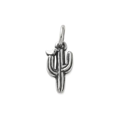 James avery on sale cactus earrings