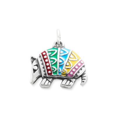 Pinata charm hot sale james avery