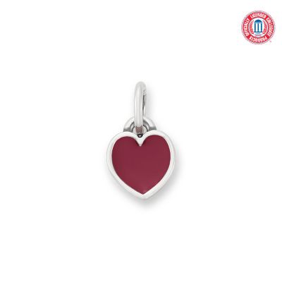 Enamel Florida State University Connected Hearts Charm