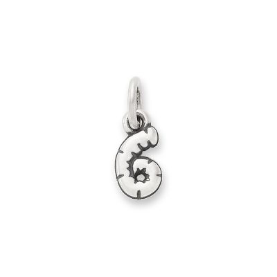 Balloon Number Charm